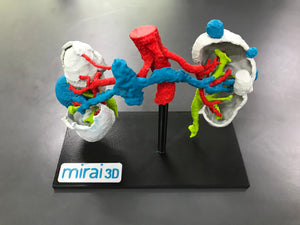 Mirai3D: Revolutionizing medical practices with 3D modeling